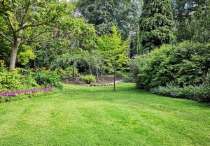 Optimiser l'expérience du jardin à Bois-d'Arcy